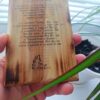 Икона Вера Надежда Любовь и мать их София (9х12)